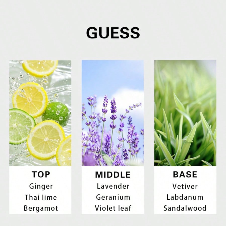 Guess Forever men Eau De Toile - Perfume Fragrances recension och pris