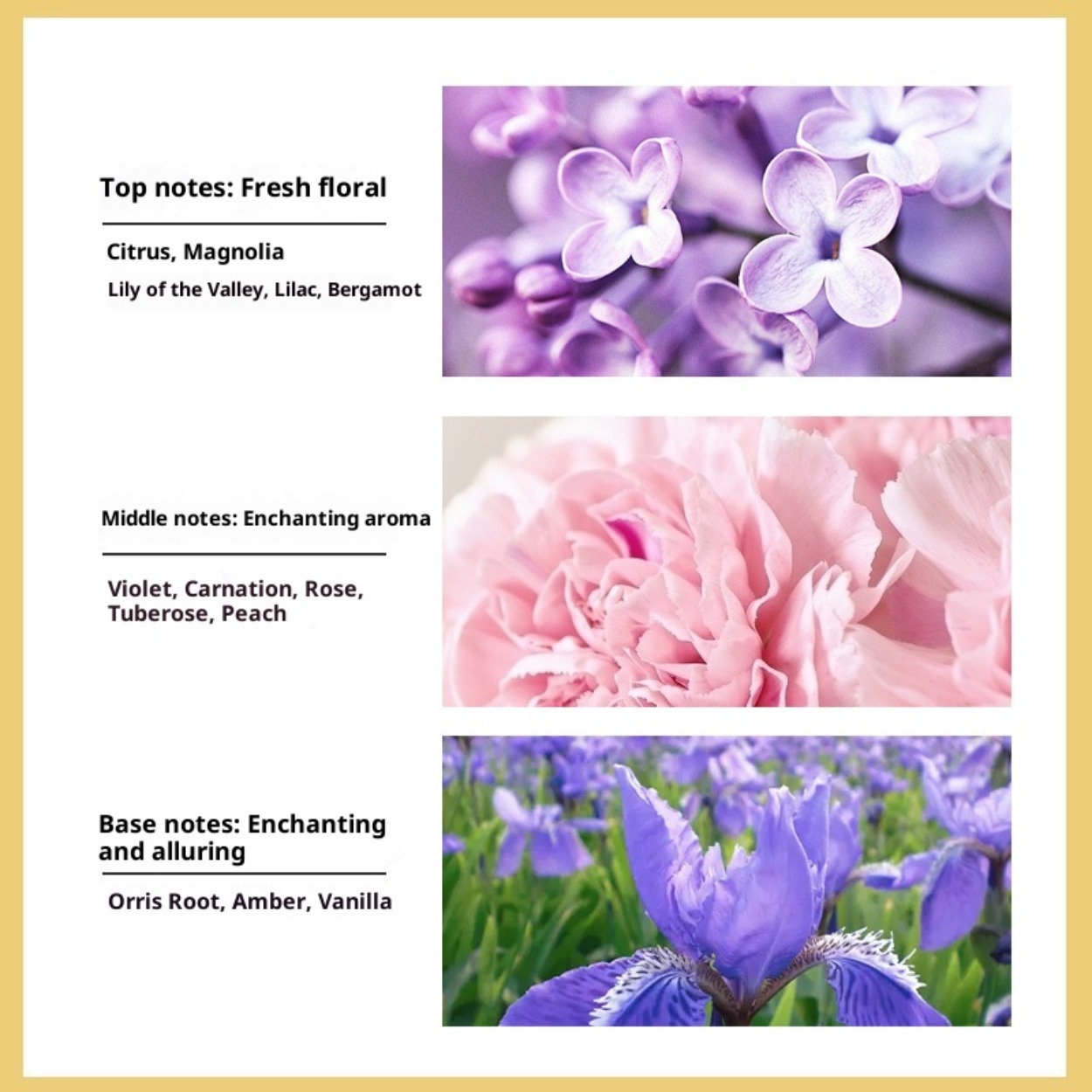 No. 5 Women's Eau de Toilette: - Perfume Fragrance Brands recension och pris